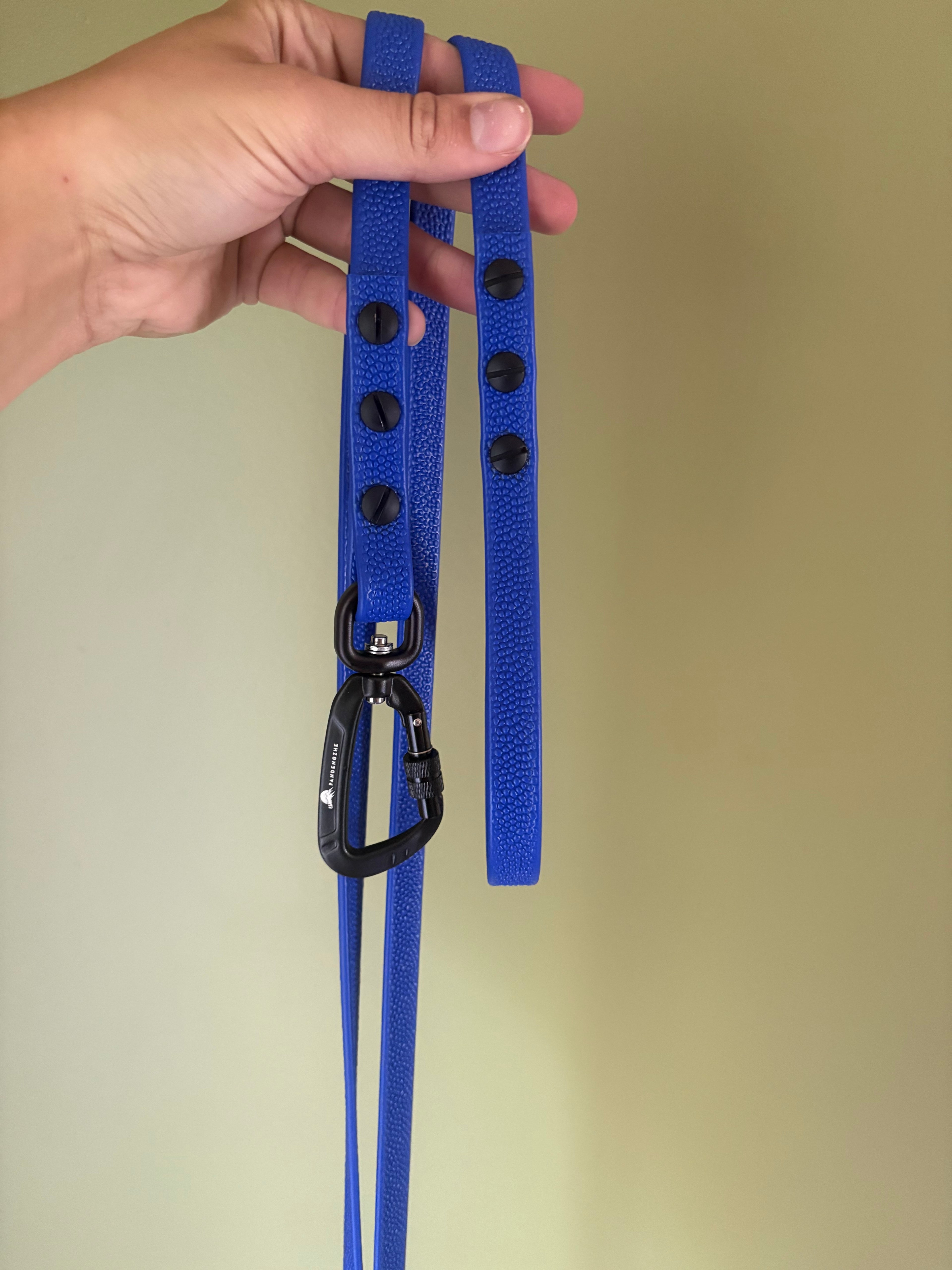 5/8" Pebble Clip lead