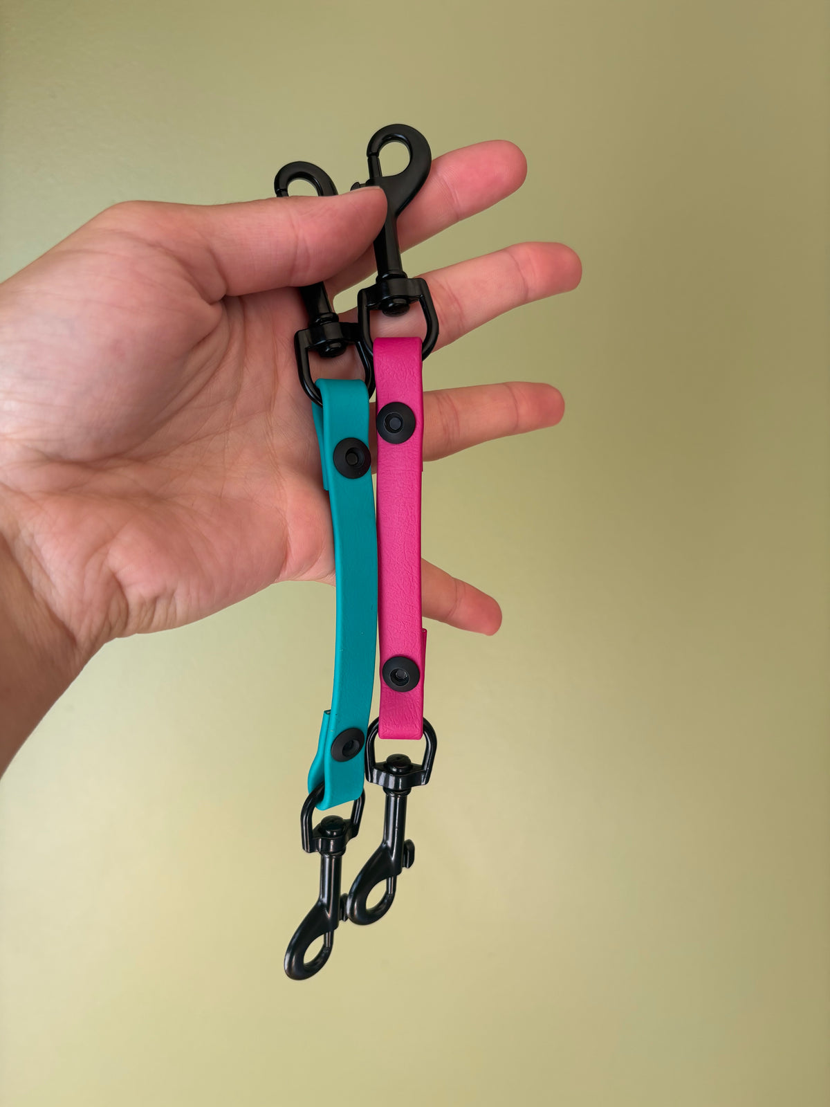 Prong Collar Back-Up