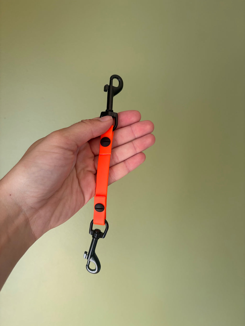 Prong Collar Back-Up