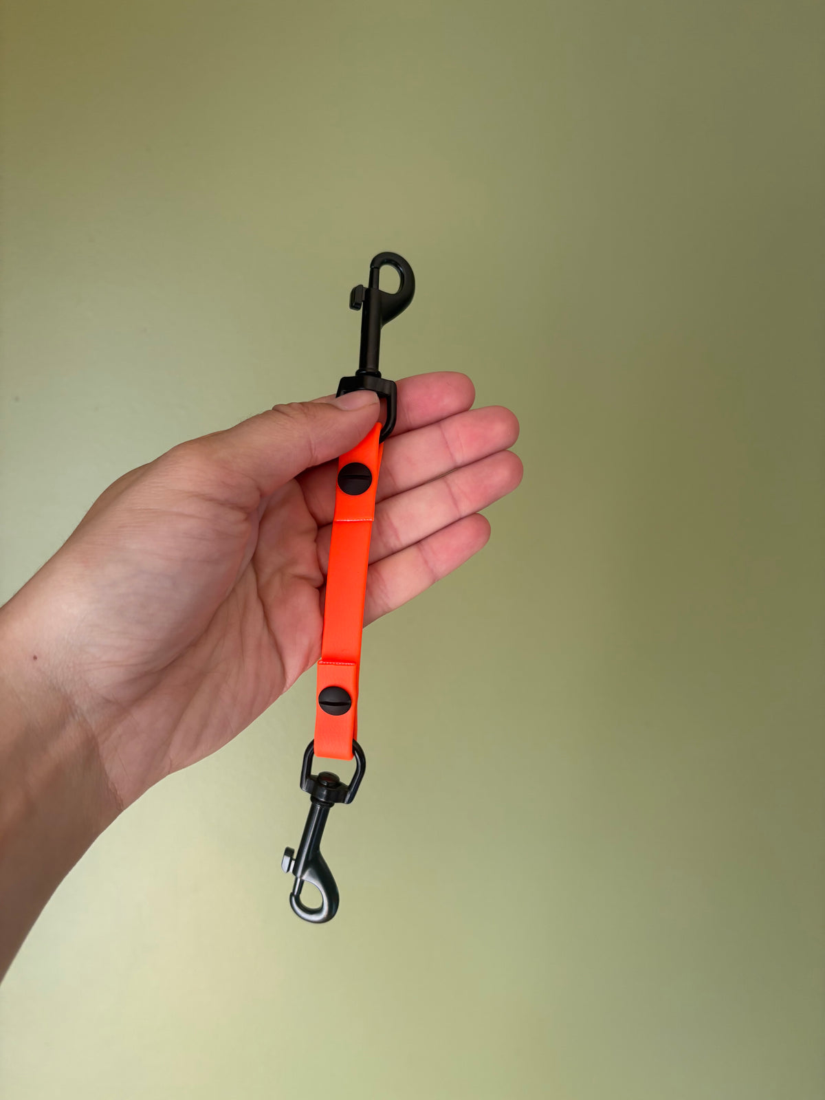 Prong Collar Back-Up
